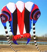 Image result for Animal Inflatable Kite