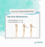 Image result for Lateral Knee Internal vs External Rotation