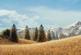 Image result for Grassland Environment