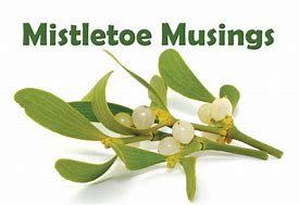 Image result for Mistletoe Story