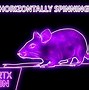 Image result for Rotating Rat