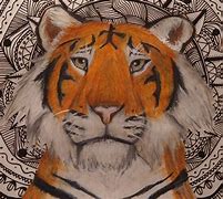 Image result for Zentangle Tiger