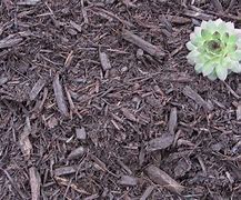 Image result for Hardwood Mulch