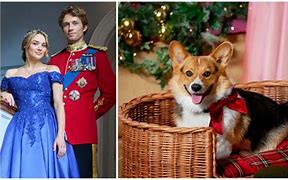 Image result for Royal Corgi