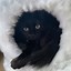 Image result for Wood Cat Tree