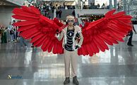 Image result for Hawks MHA Cosplay