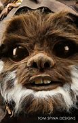 Image result for Ewok Show