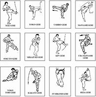 Image result for How to Do a Karate Kick