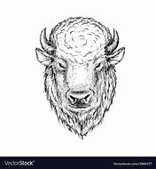 Image result for Buffalo Head Vector Art