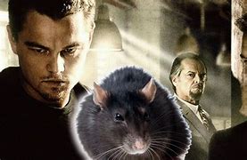 Image result for End of the Departed Rat