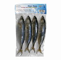 Image result for Indian Mackerel