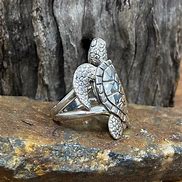 Image result for Turtle Age Ring