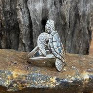 Image result for 14K Turtle Ring