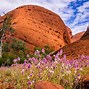 Image result for Most Beautiful Places Australia