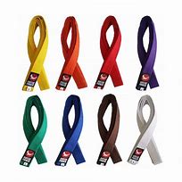 Image result for Colored Belts