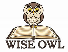 Image result for Wise Owl