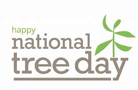 Image result for May Day Tree