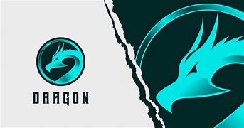 Image result for Dragon Gaming Circle Logo