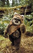 Image result for Elder Ewok