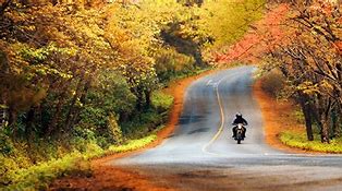 Image result for Fall Road Trip