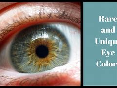 Image result for Greyish Yellow Eyes Logo