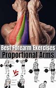 Image result for Forearm Workout Names