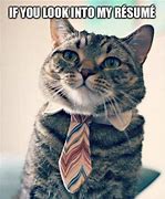 Image result for Good Job Cat Meme