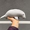 Image result for Dugong Plushie