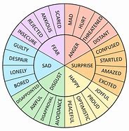 Image result for 5 Basic Emotions