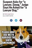 Image result for Dog Attorney Meme