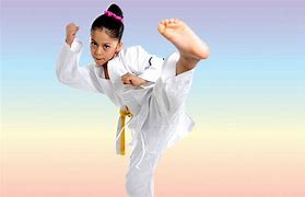 Image result for Karate Front Kick