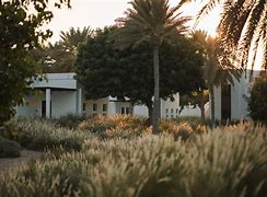 Image result for Chedi Muscat