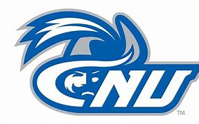 Image result for CNU ID Logo