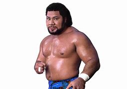 Image result for Haku Wrestling