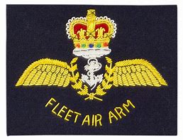 Image result for Fleet Air Arm Observer Badge