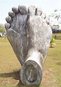 Image result for Calabar Forest