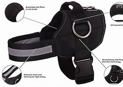 Image result for Husky Dog Harness