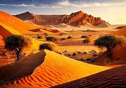 Image result for Desert De Sahara