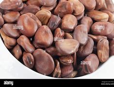 Image result for Broad Beans Brown