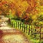 Image result for Beautiful Fall Scenery Wallpaper