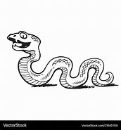 Image result for Snake Black and White Photography