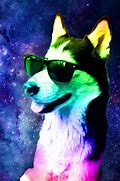 Image result for Rainbow Husky