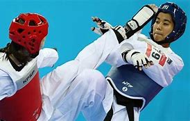 Image result for Karate vs Taekwondo