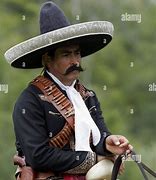 Image result for Mexican Cow