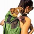 Image result for Corgi Mini Backpack