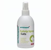 Image result for Catnip Spray