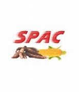 Image result for SPAC Starch Organisation Structure