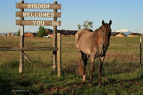 Image result for Wisdom Montana