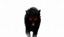 Image result for Evil Wolf PNG