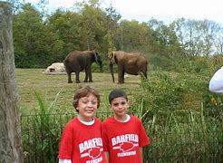 Image result for Zoo Field Trip